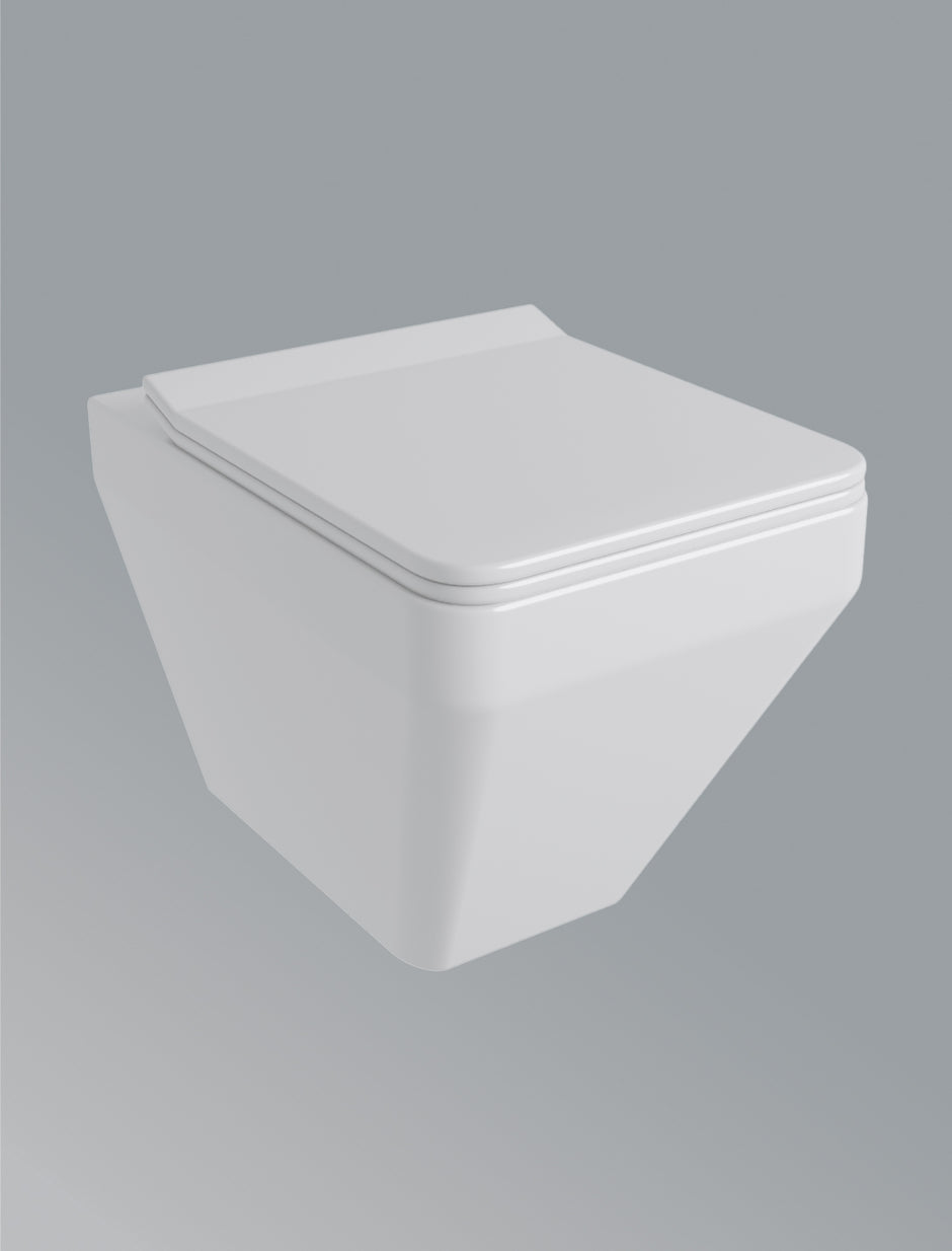 Wall Hung Toilet